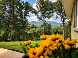 Deep Creek Mountain Retreat - Image 2