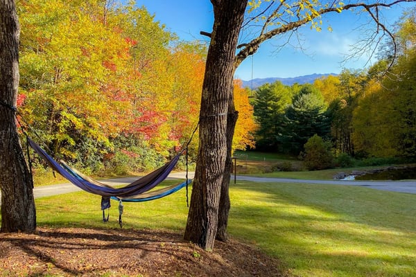 Hammock grove and mountain views at The Ol' Gun Range Cabin