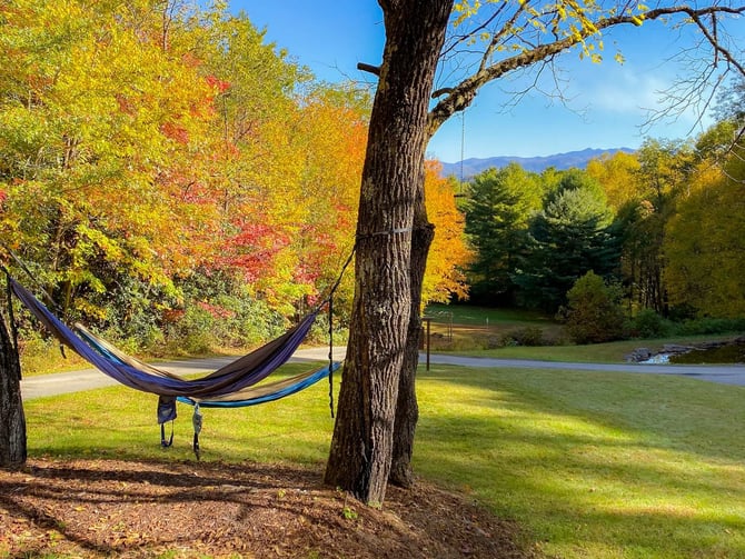 Hammock grove and mountain views at The Ol' Gun Range Cabin